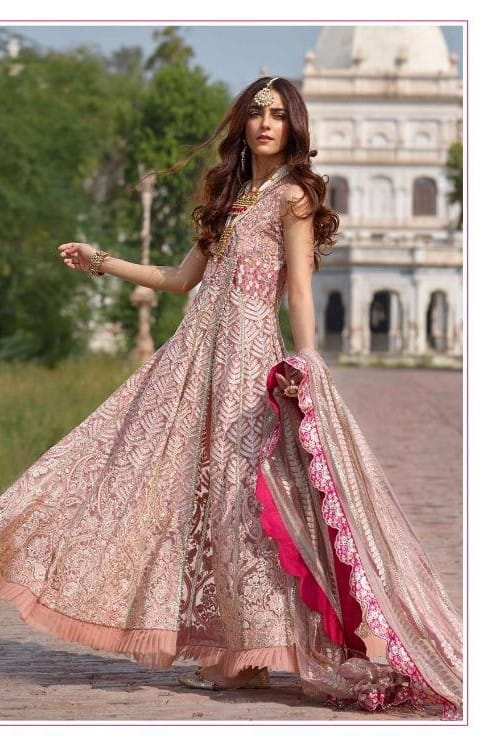 Shree Fab S-182 Designer Butterfly Net Suit