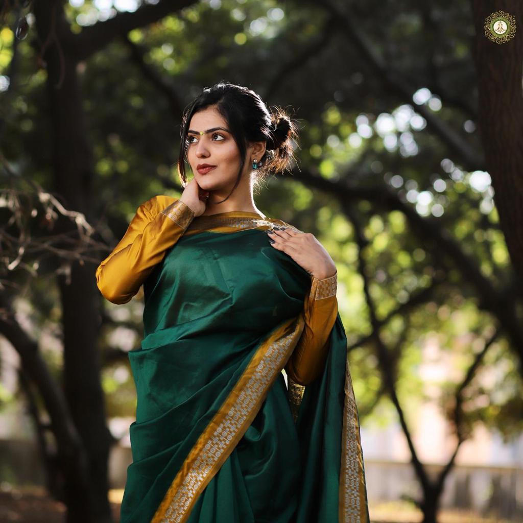 Bt-02 Designer Lichi Silk Saree