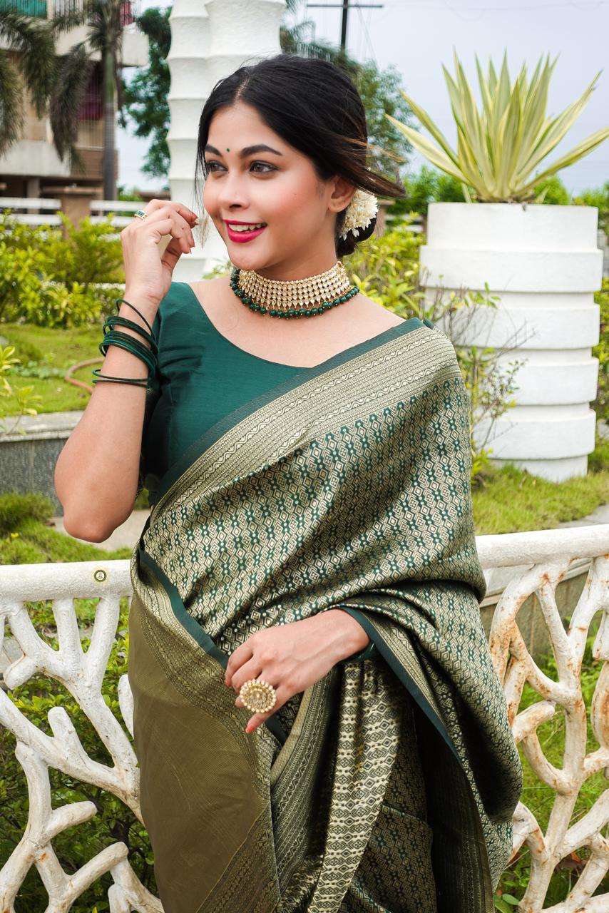 BT - 02 DESIGNER SOFT LICHI SILK SAREE