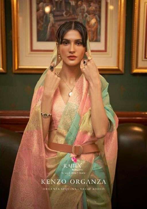 rajtex kenzo organza series 230001-230006 organza saree