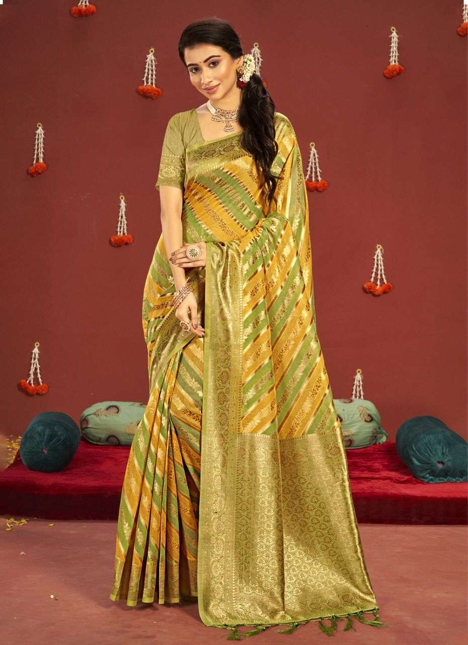 sanjivini designer cotton saree