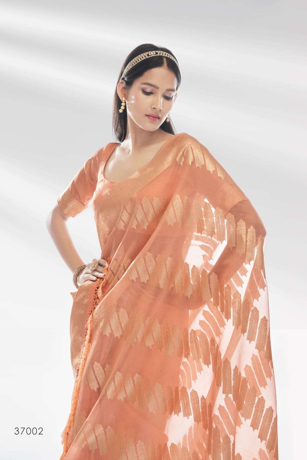 rajpath abhudhai series 37001-37006 organza saree