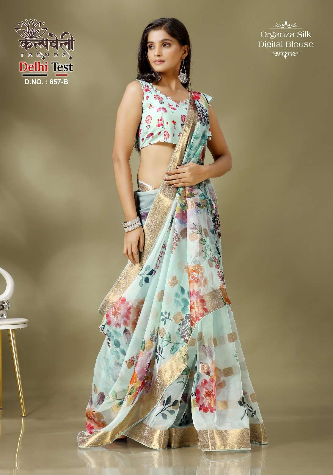 kalpavelly trendz delhi test 657 Organza silk saree