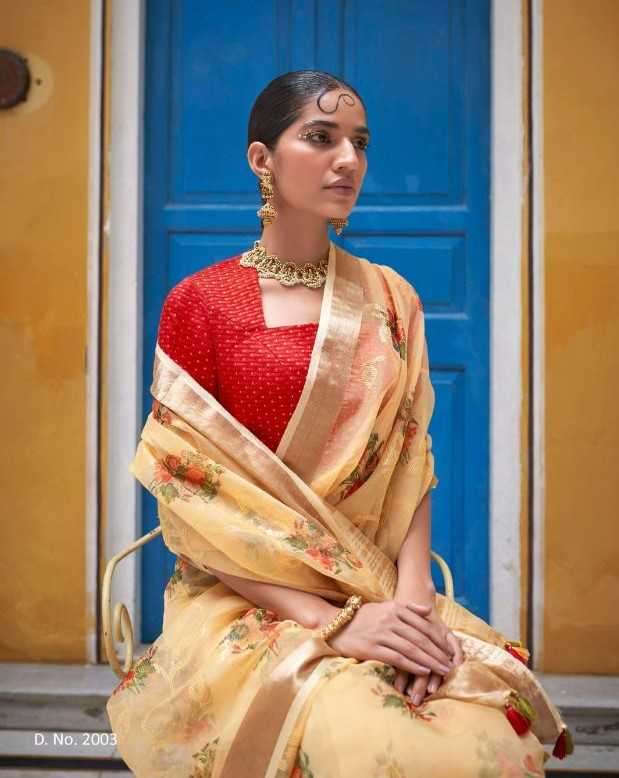 kimora pariza nx series 2003-2005 Organza Silk saree