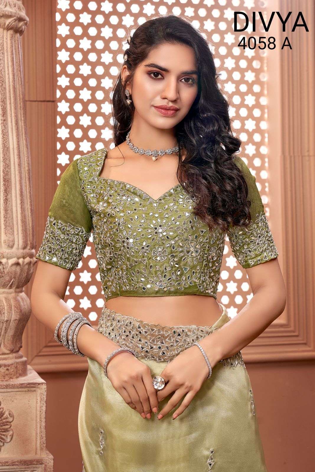 divya mirror vol 2 df 4058 organza mirror work saree