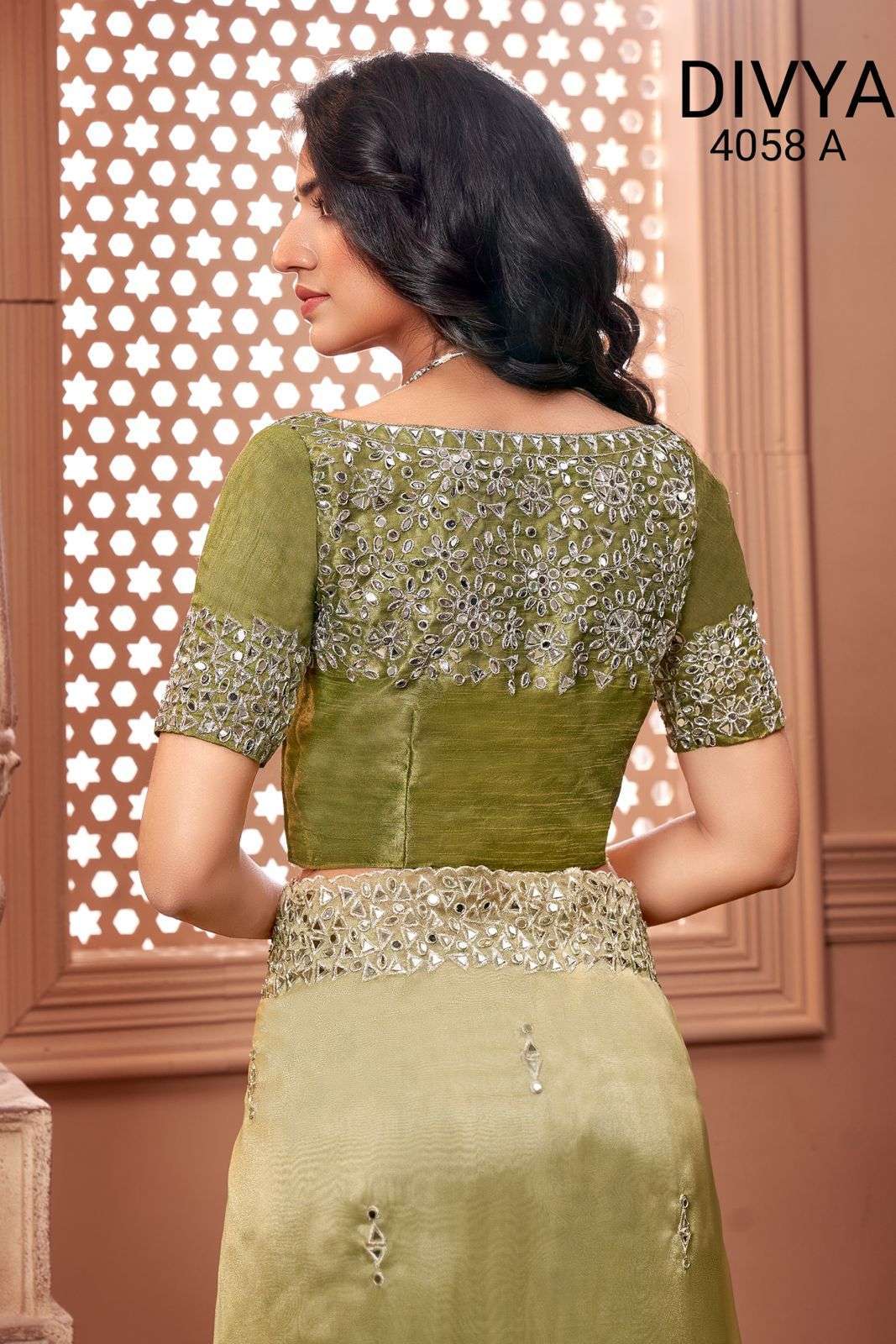 divya mirror vol 2 df 4058 organza mirror work saree