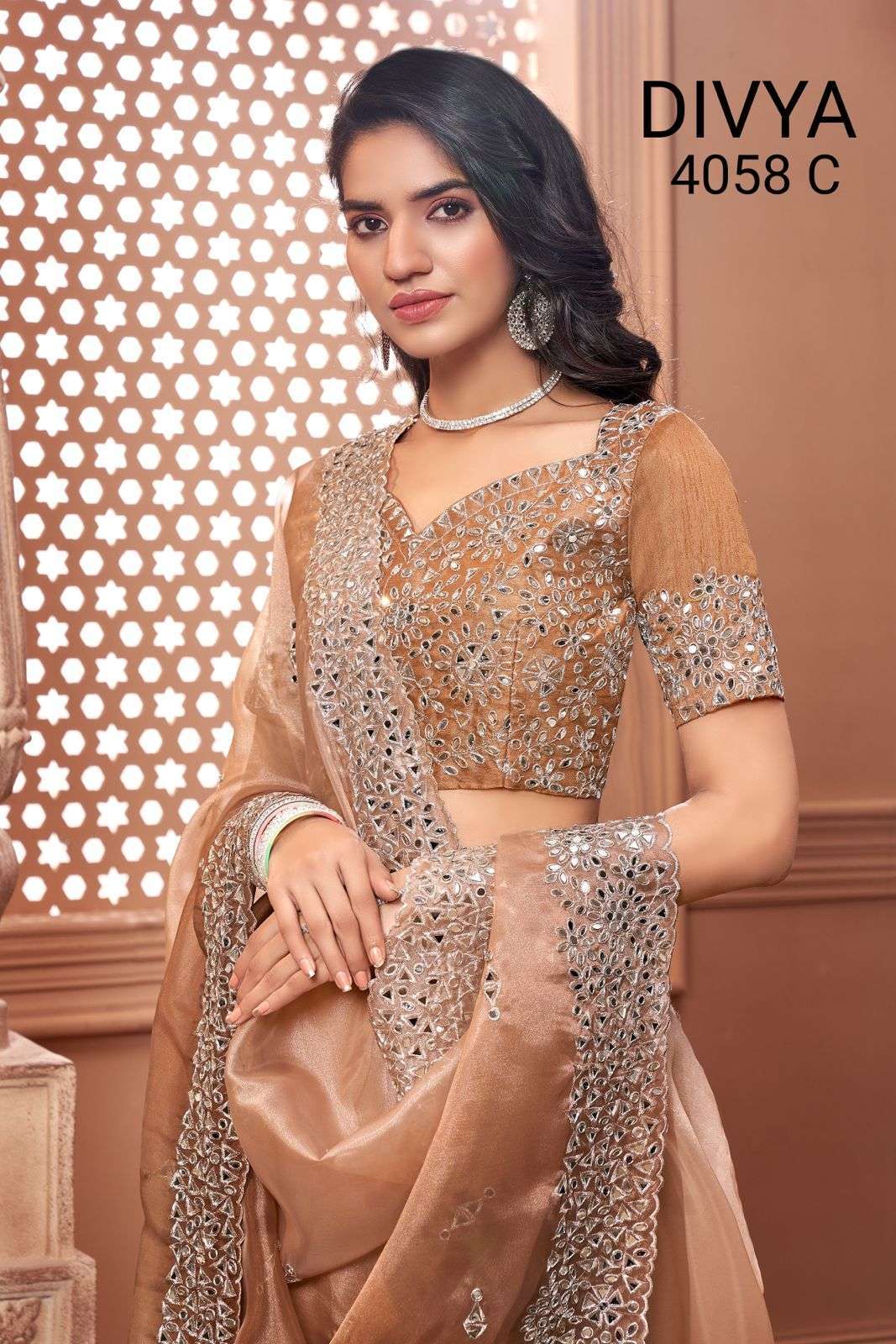 divya mirror vol 2 df 4058 organza mirror work saree