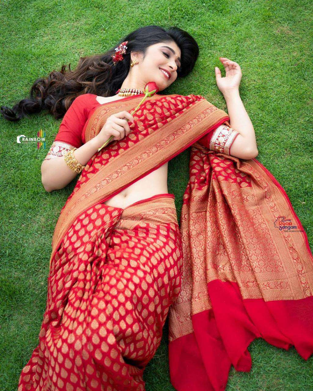 Rich Netting Cloth With Self Design And Tikli Satari Work Saree - Fonix  Corporation - 3411223