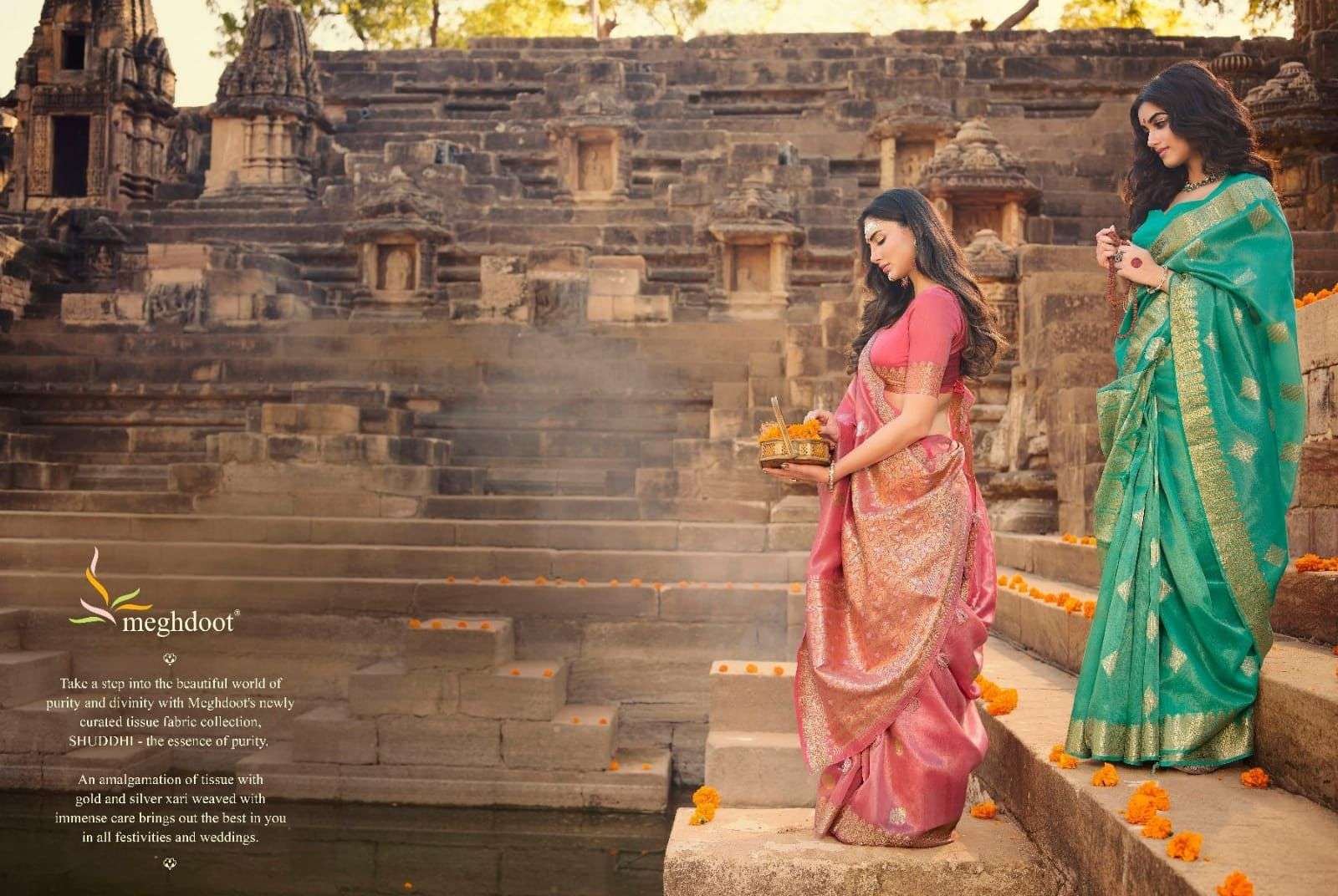 290+ India Sari Women Beach Stock Photos, Pictures & Royalty-Free Images -  iStock