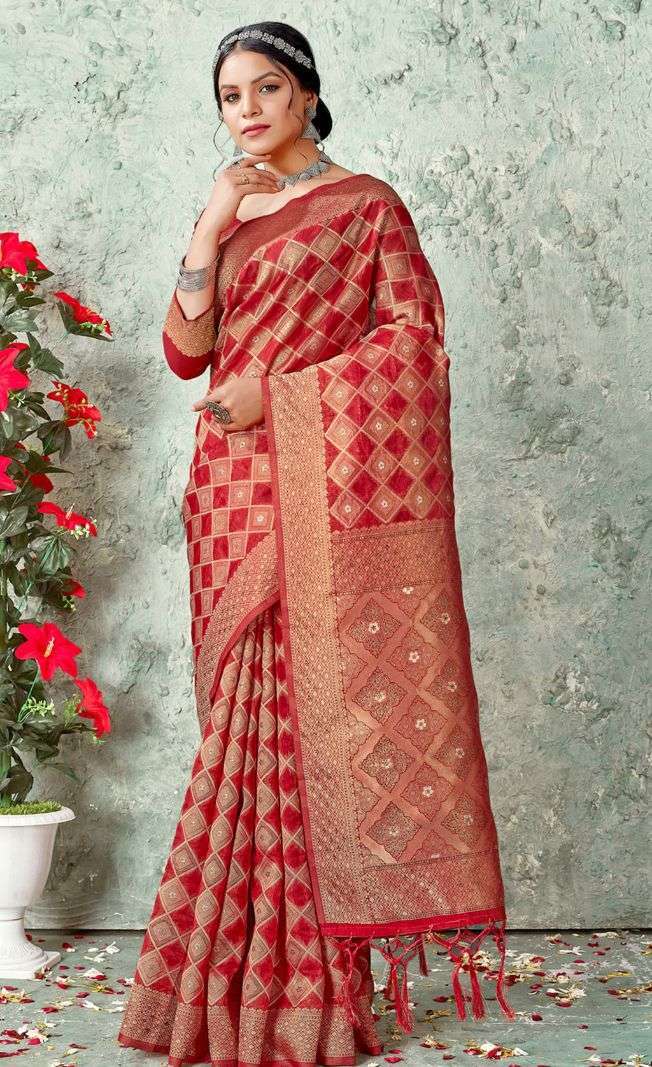 bunawat nandita Organza Woven Work & Swarovski Stone Work saree